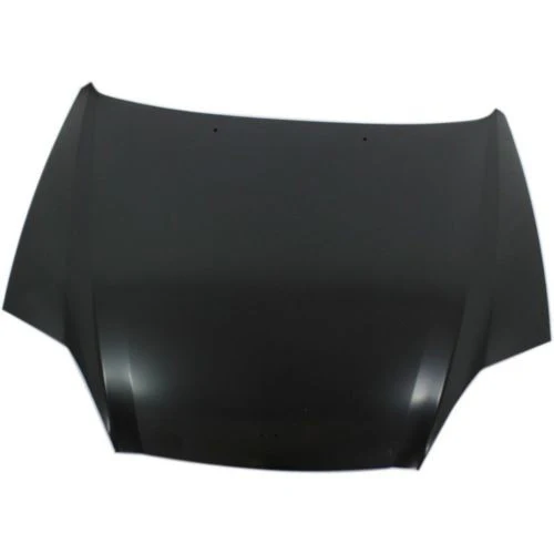2005 Hyundai Tiburon : Hood Painted