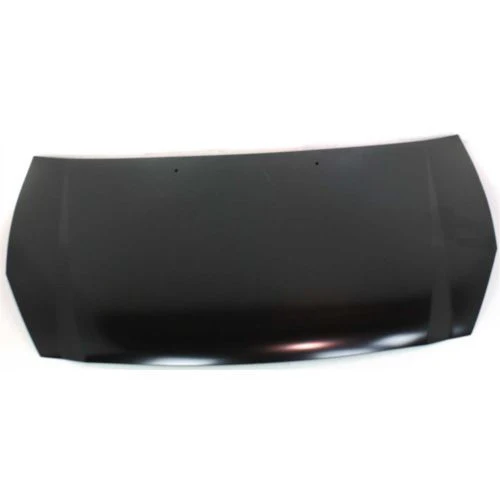 2006 Kia Sedona : Hood Painted