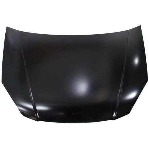 2007 Kia Rio : Hood Painted