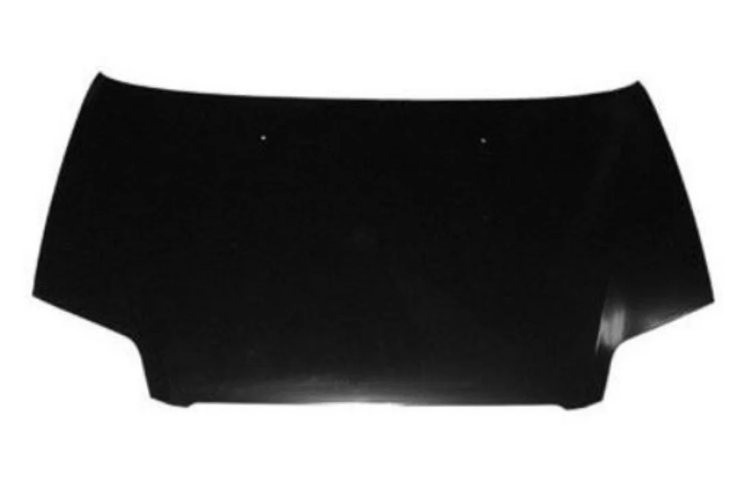 2008 Pontiac Wave : Hood Painted - Image 2