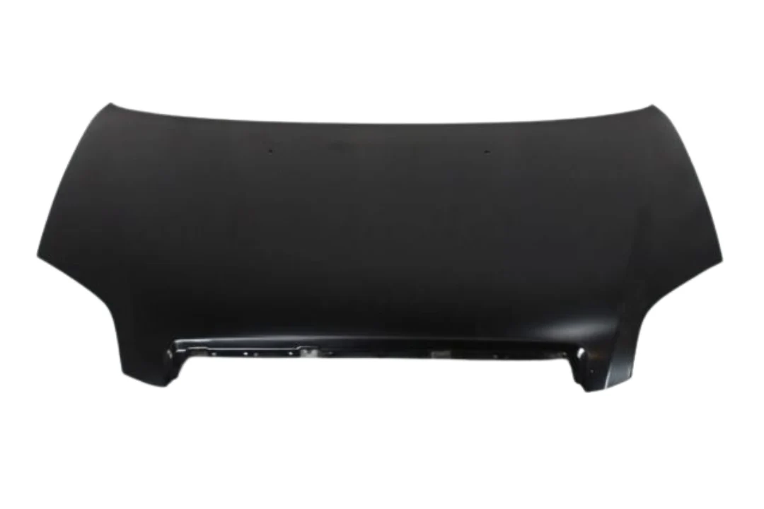 2010 Chevrolet Aveo : Hood Painted - Image 2