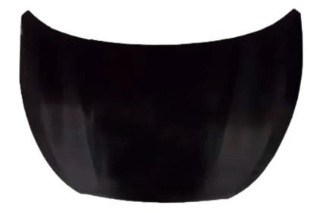2010 Hyundai Tucson : Hood Painted - Image 2