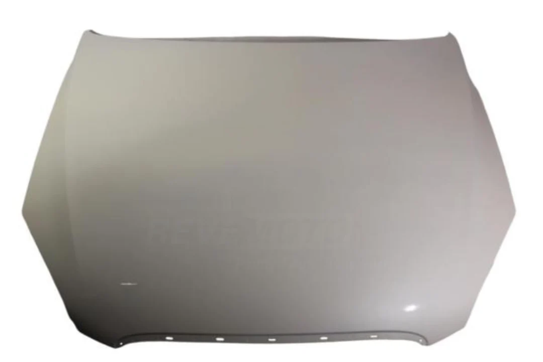2011 Buick Lucerne : Hood Painted