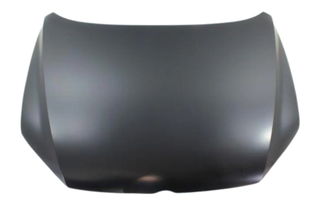 2013 Volkswagen Passat : Hood Painted - Image 2